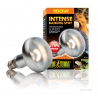 Exo Terra Intense Basking Spot - W�rmespotlampe - 150 Watt