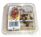 Steppengrillen in der Dose - gro� ca. 20 St�ck